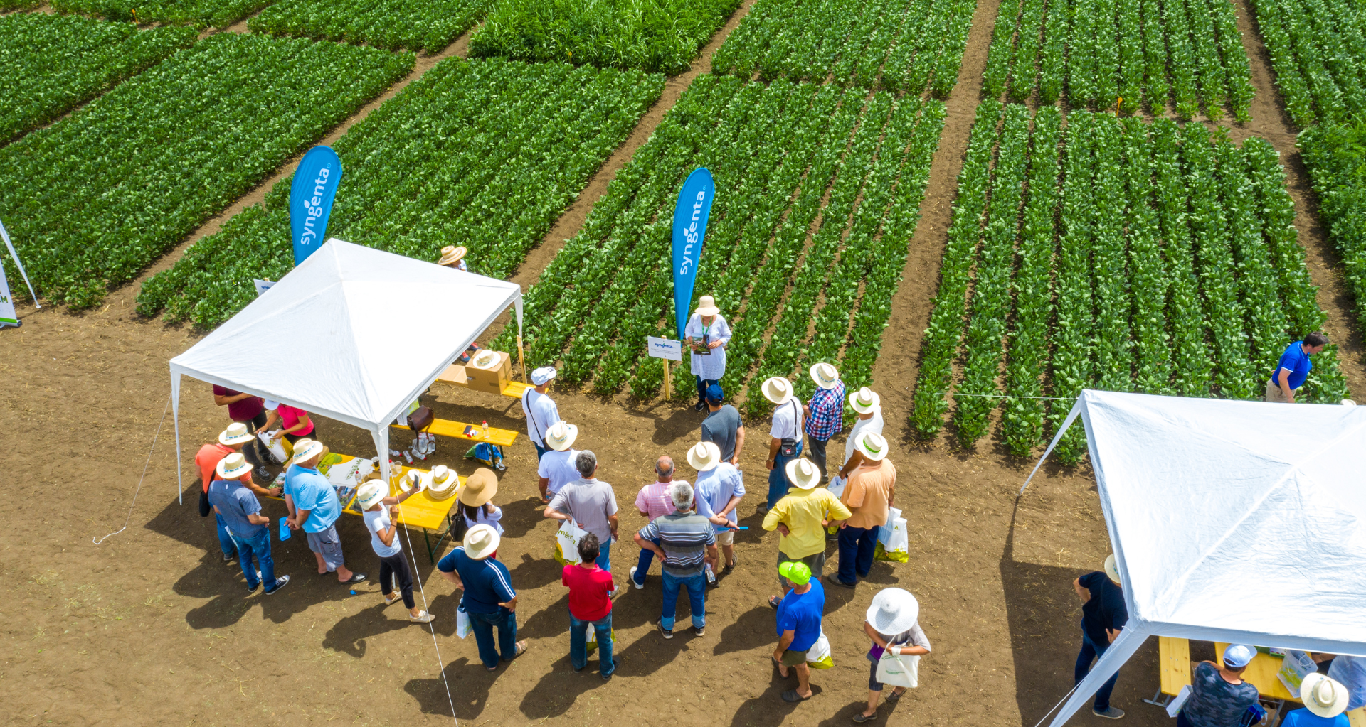 DS academy_field days