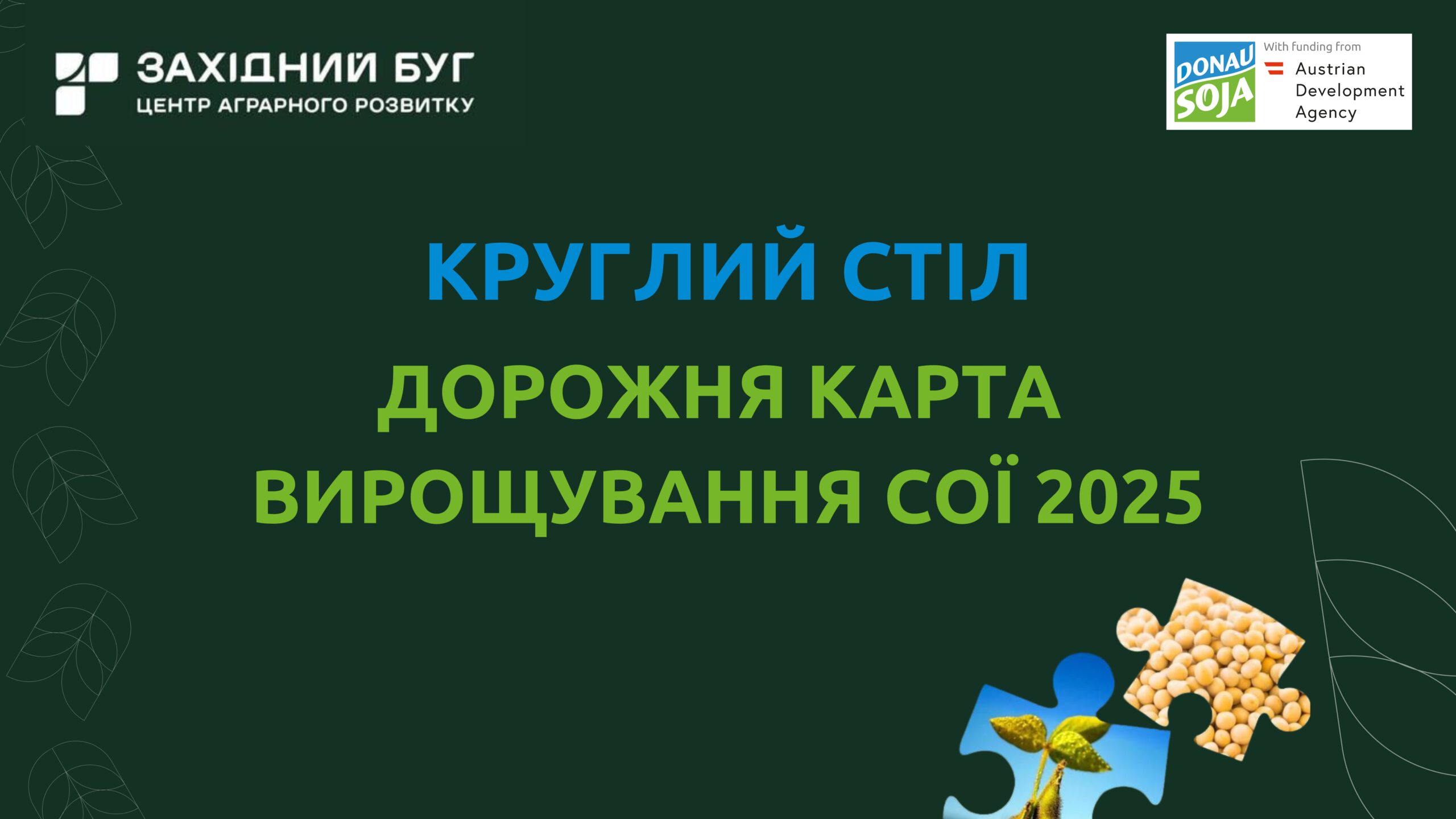 SDC 1-2025 web